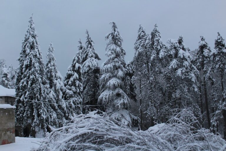 whatsapp image 2026 01 09 at 20.11.12 (3)