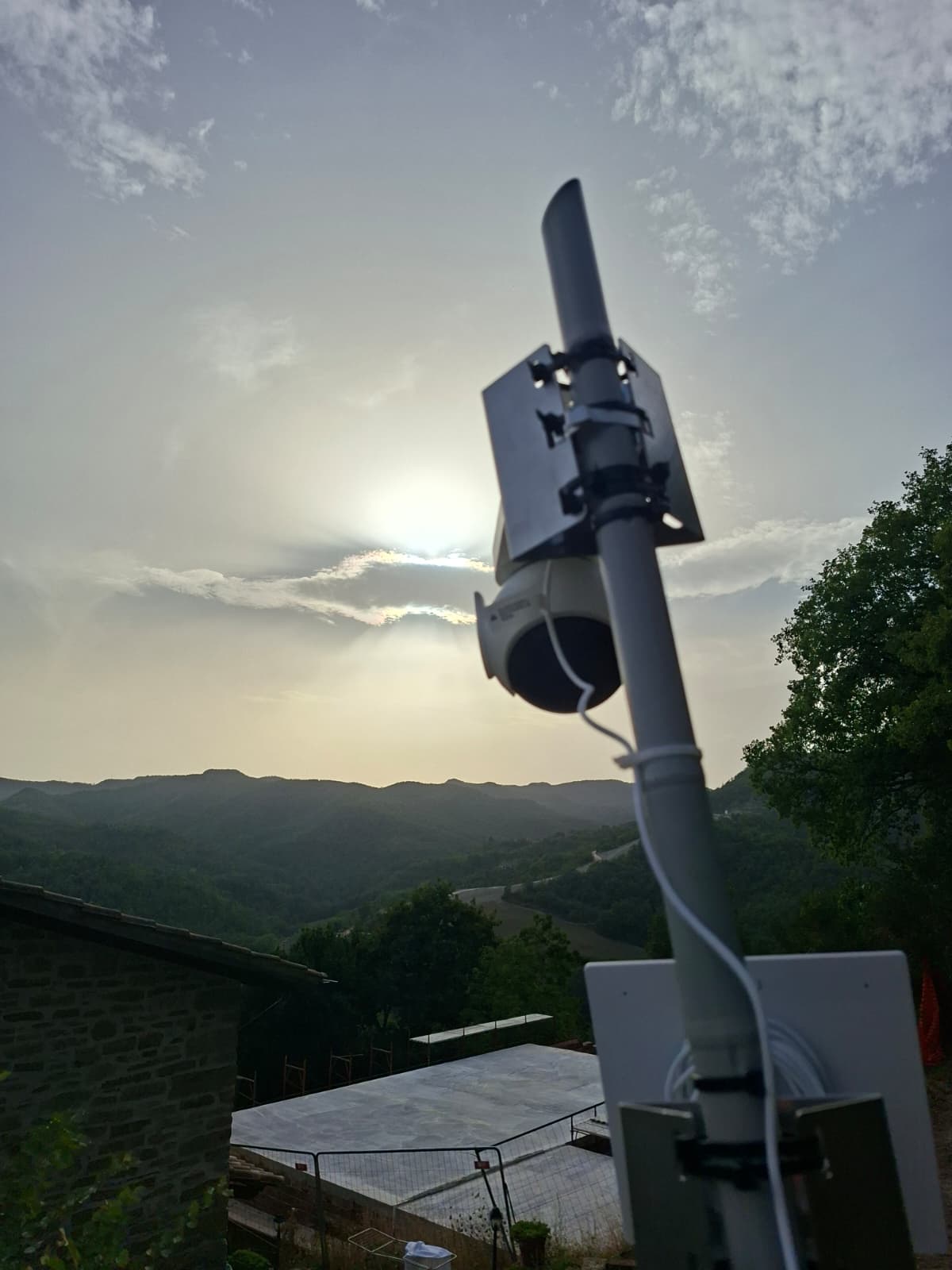 frigino foto